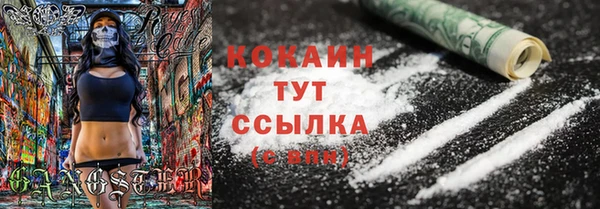 прущий лед Козельск