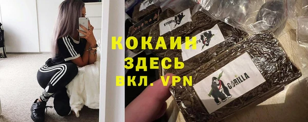 прущий лед Козельск