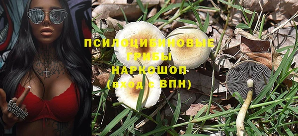 винт Кодинск
